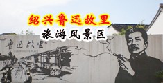 狂插小穴视频小说中国绍兴-鲁迅故里旅游风景区